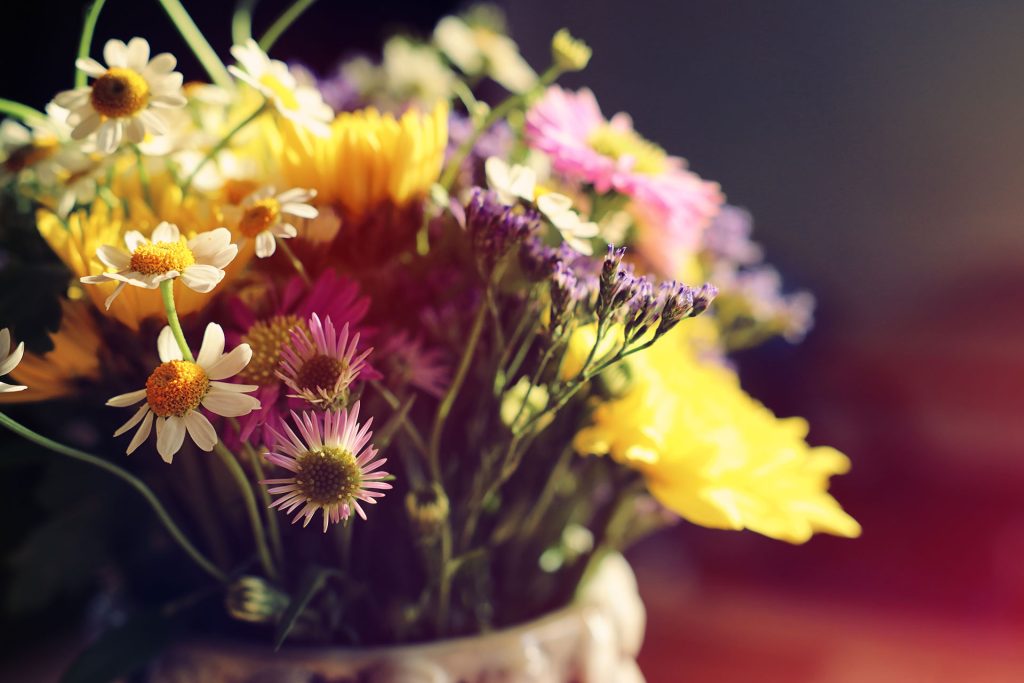 Celebrating Lives Our Obituary Collection Remembering Those We’ve